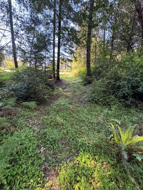 37430 Alderpoint Road Blocksburg, CA 95514 - Photo 13 of 18