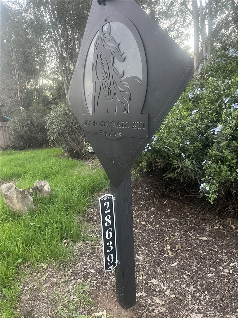 28639 Rostrata Avenue Lake Elsinore, CA 92532 - Photo 1 of 43