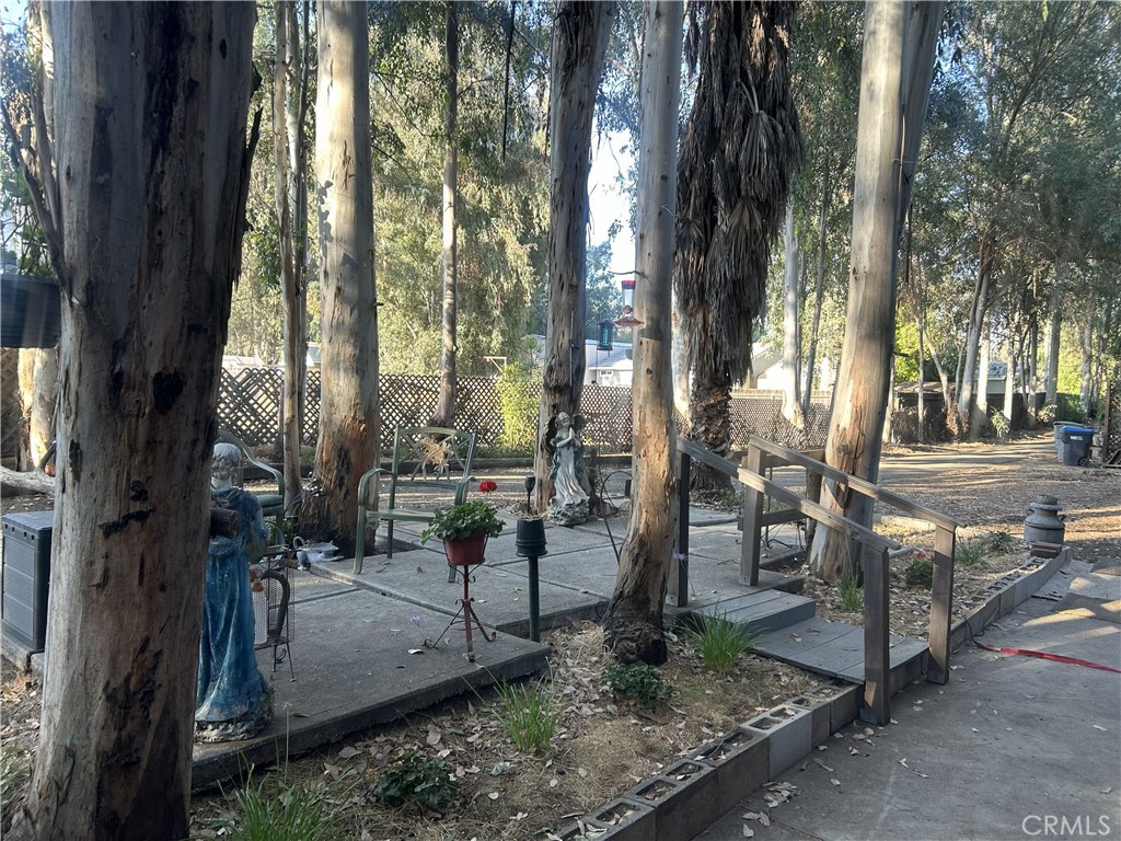 28639 Rostrata Avenue Lake Elsinore, CA 92532 - Photo 37 of 43 a view of outdoor space and garden