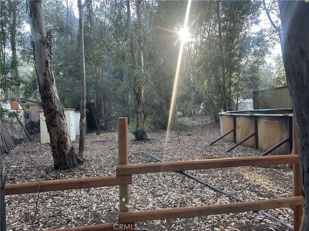 28639 Rostrata Avenue Lake Elsinore, CA 92532 - Photo 39 of 43 a view of a yard from a forest