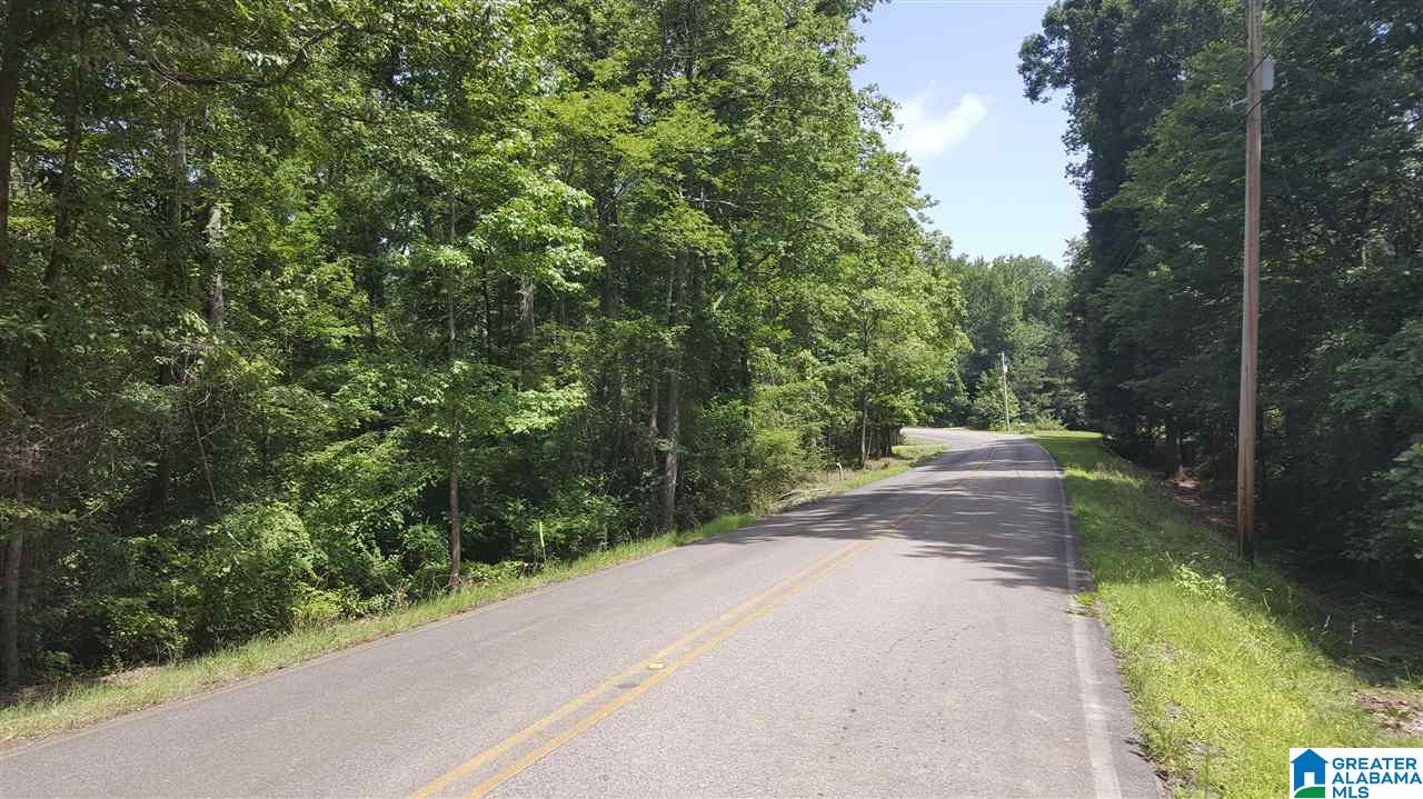 2164 Morton Road Warrior, AL 35180 - Photo 3 of 4