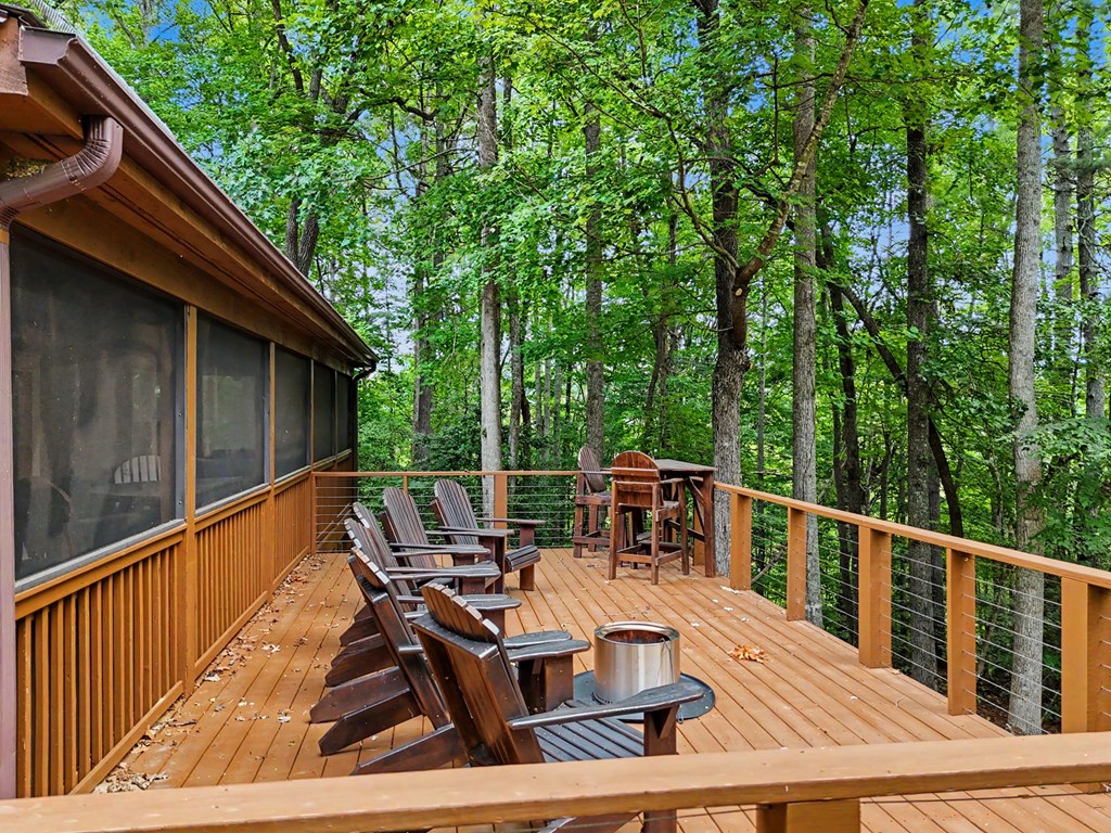 147 Midnight Road Blairsville, GA 30512 - Photo 3 of 60 Gallery Image 3