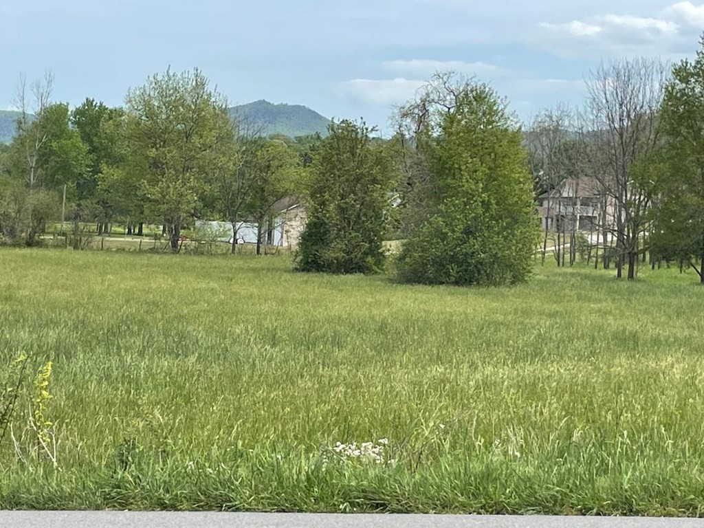 0 Line Springs Road Sevierville, TN 37862 - Photo 6 of 8