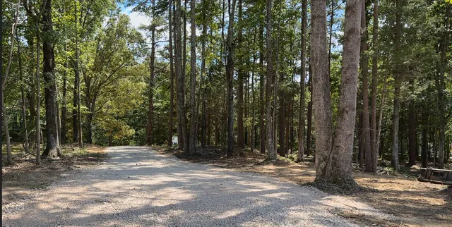 a view of outdoor space and trees