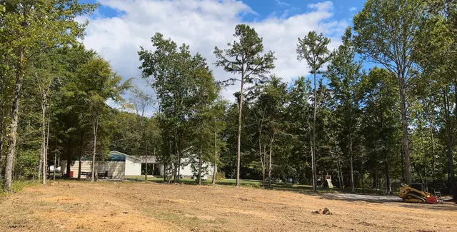 a view of a yard with trees