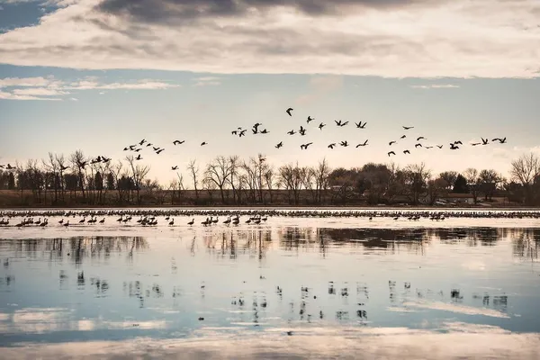 $699,000 | 2245 Cottonwood Lake Drive, Windom, MN 56101