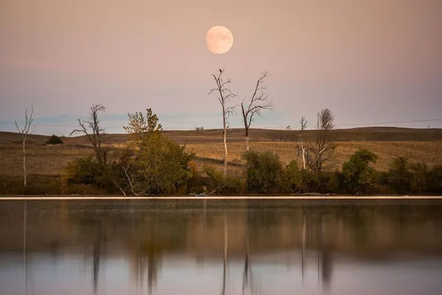 $699,000 | 2245 Cottonwood Lake Drive, Windom, MN 56101