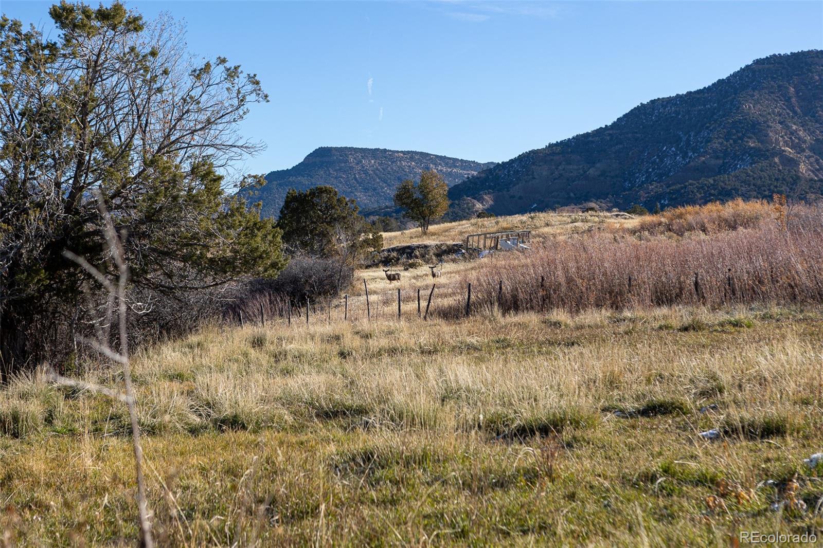 0 Tbd Collbran, CO 81624 - Photo 11 of 25 a view of a dry yard with green space