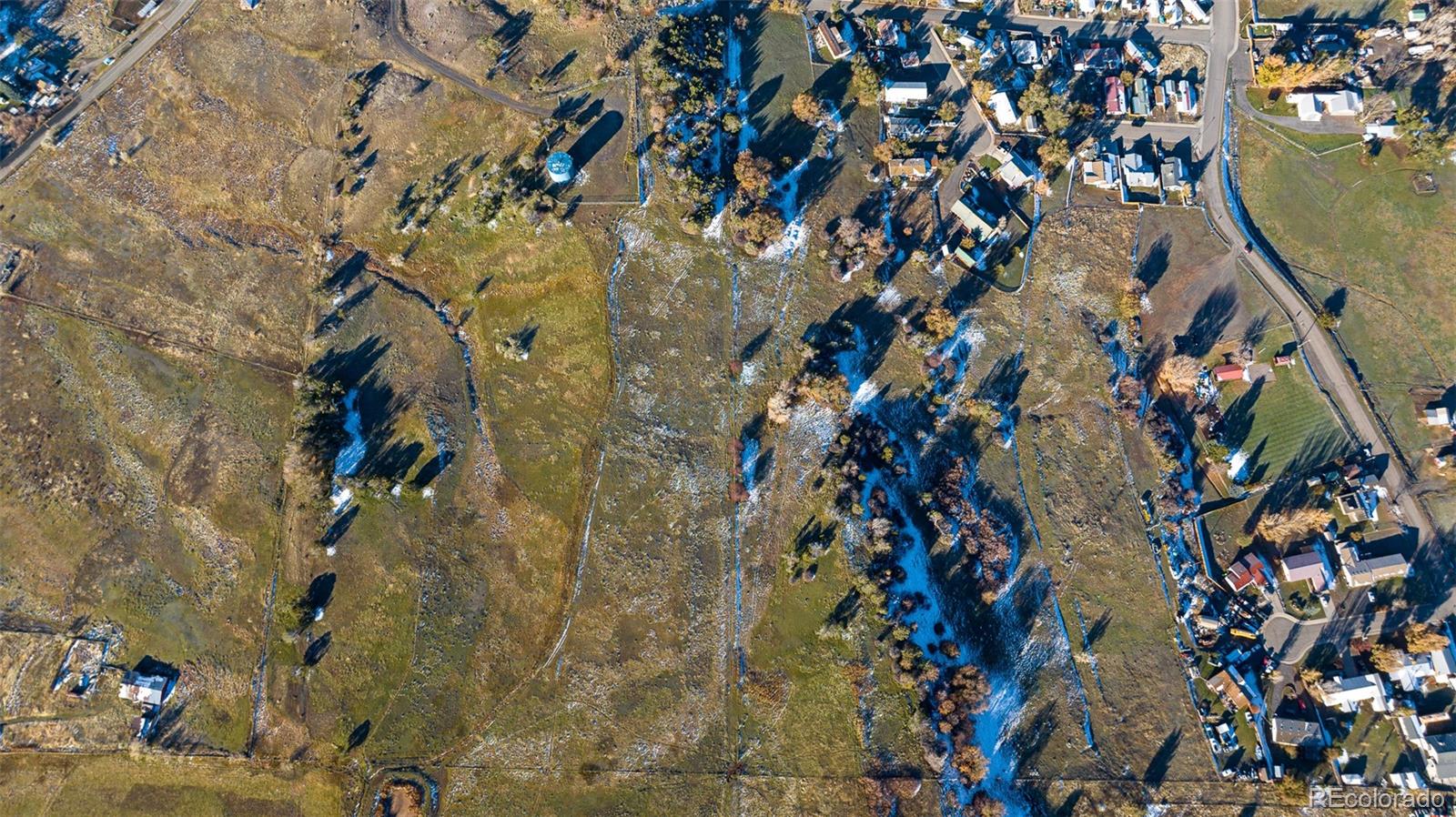 0 Tbd Collbran, CO 81624 - Photo 25 of 25 a picture of tree