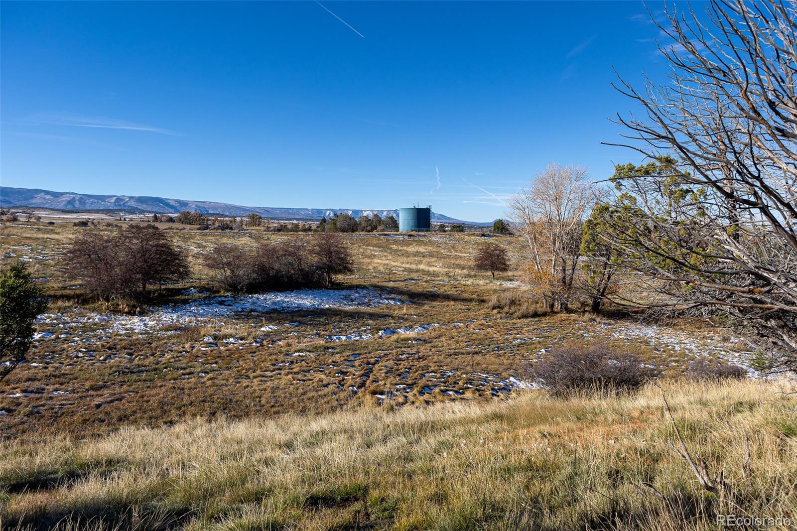 0 Tbd Collbran, CO 81624 - Photo 6 of 25 a view of a dry yard with trees and buildings in the background