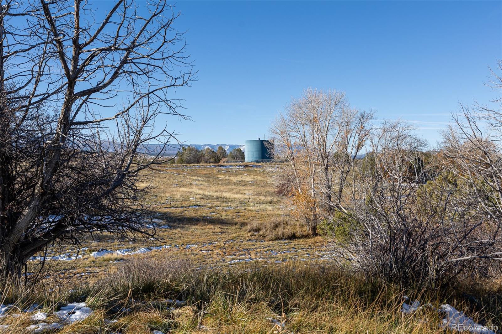 0 Tbd Collbran, CO 81624 - Photo 7 of 25 a view of a yard with a tree