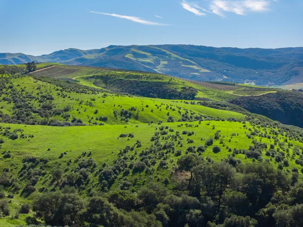 $650,000 | 0 Sweeney Road, Lompoc, CA 93436