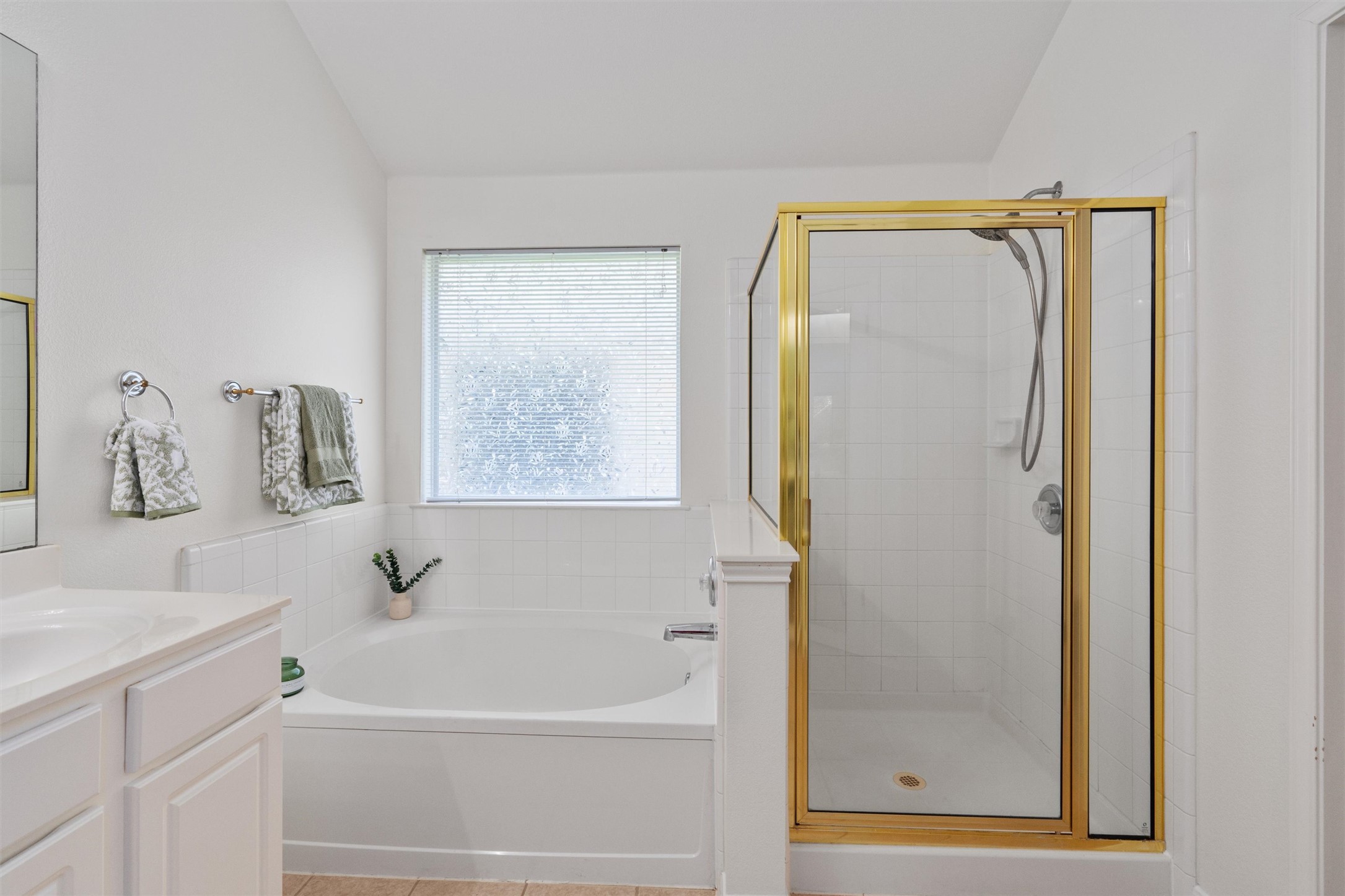 122 Copperwood Loop Round Rock, TX 78665 - Photo 15 of 40 Enjoy a relaxing soaking tub and a separate walk-in shower.