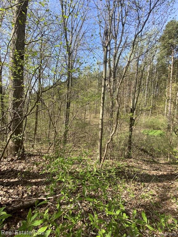 3147 Roods Lake Road Lapeer, MI 48446 - Photo 51 of 66