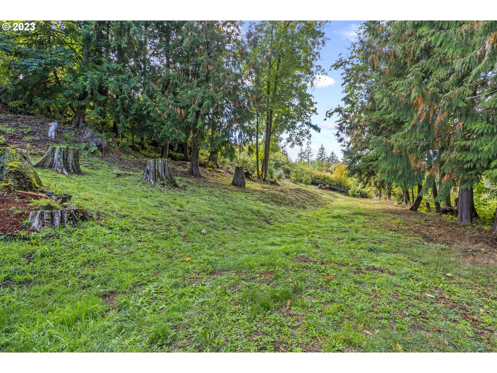 1215 Ostrander Road Kelso, WA 98626 - Photo 17 of 28 Gallery Image 17