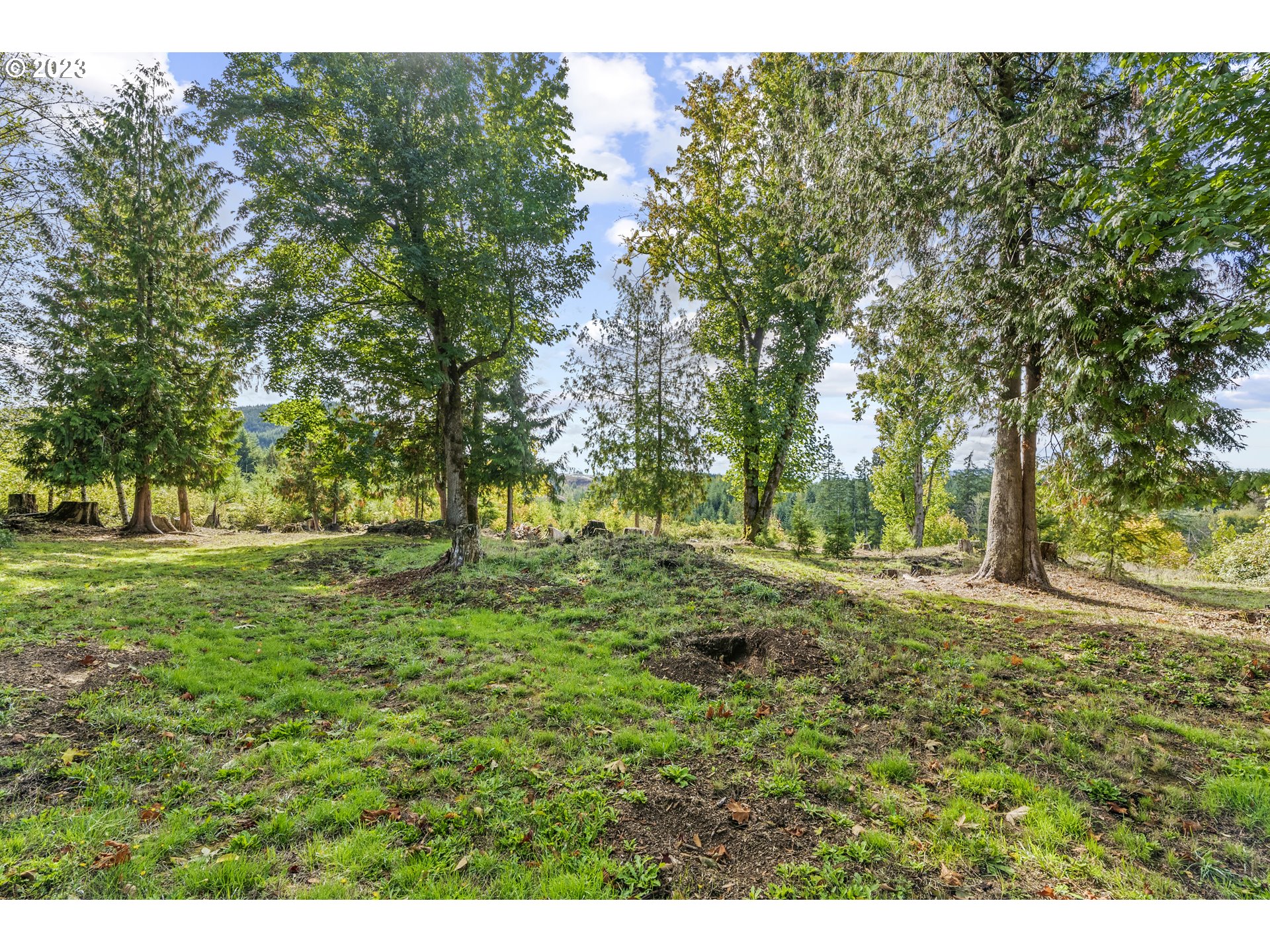 1215 Ostrander Road Kelso, WA 98626 - Photo 20 of 28 Gallery Image 20