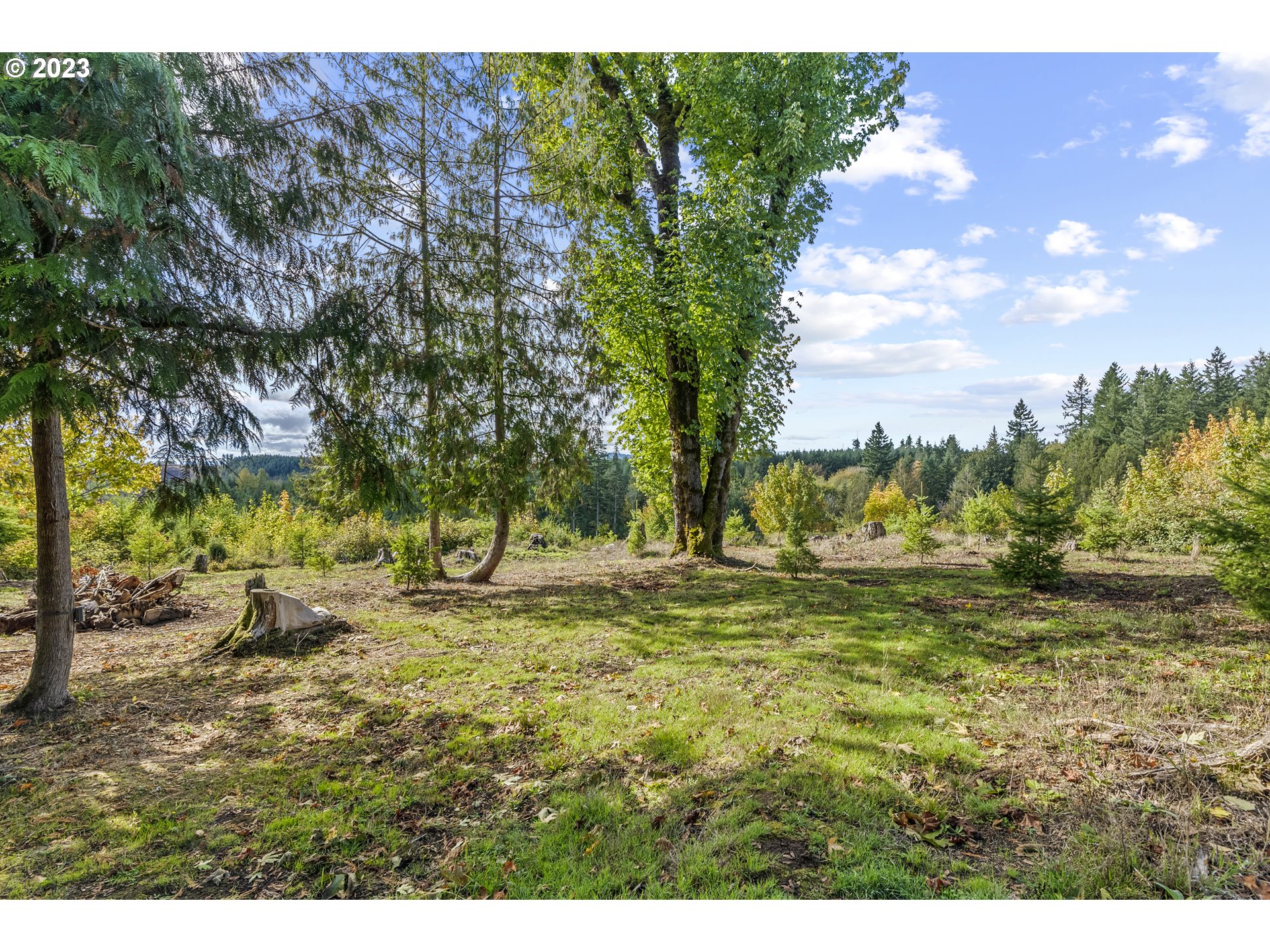 1215 Ostrander Road Kelso, WA 98626 - Photo 21 of 28 Gallery Image 21