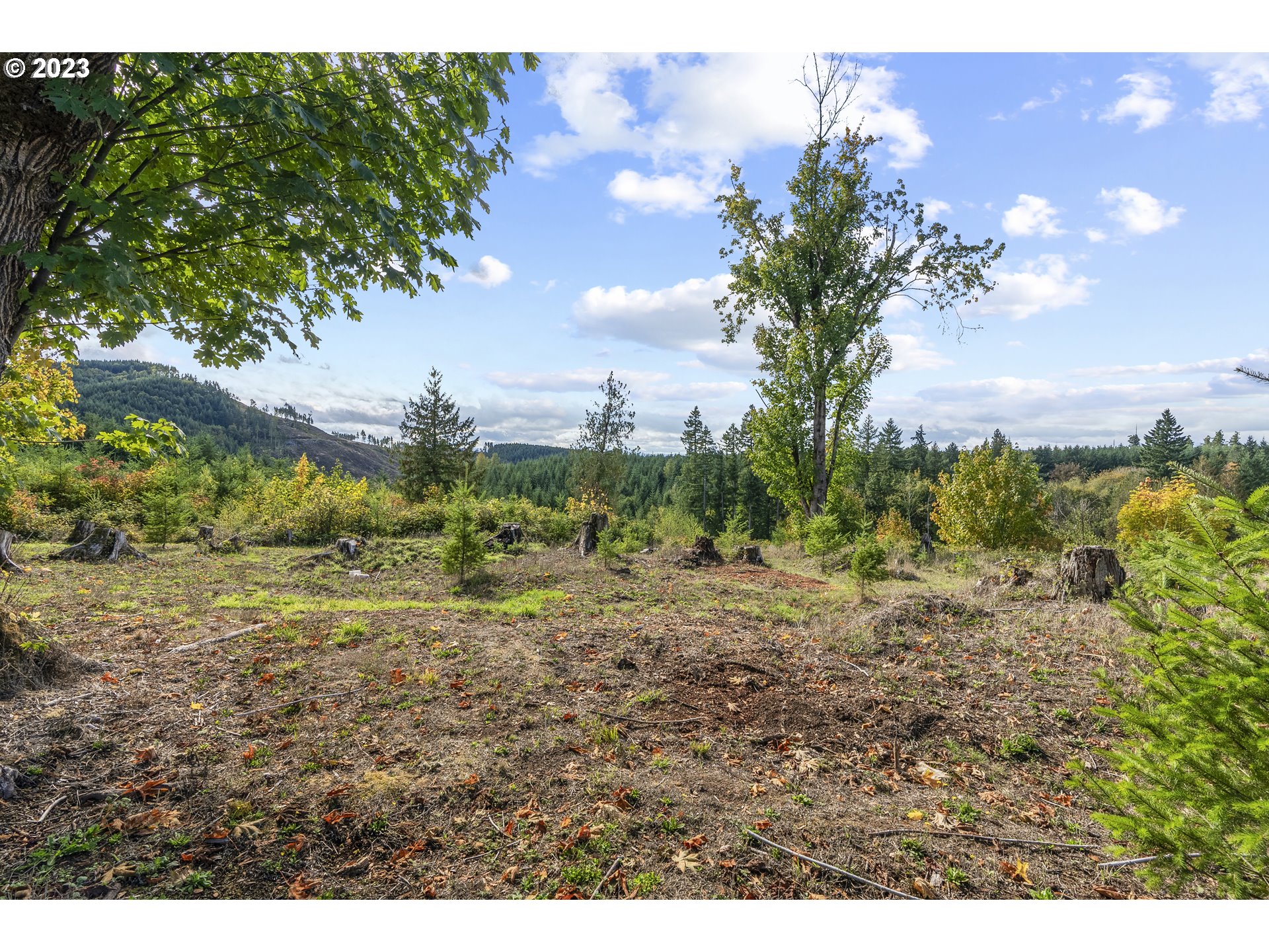 1215 Ostrander Road Kelso, WA 98626 - Photo 22 of 28 Gallery Image 22