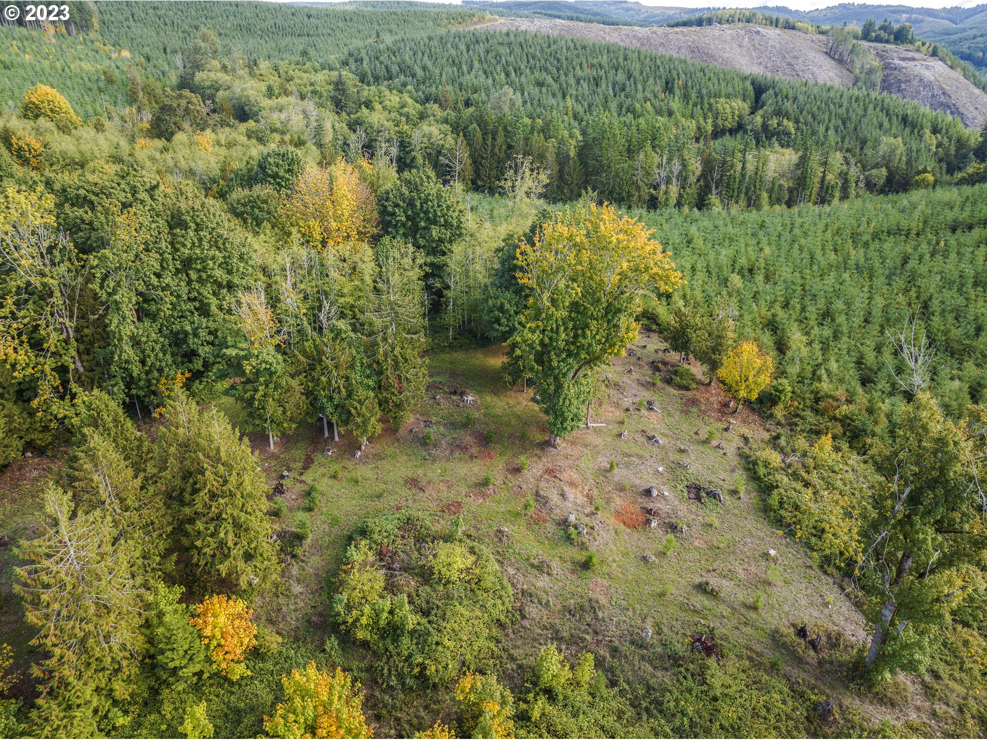 1215 Ostrander Road Kelso, WA 98626 - Photo 24 of 28 Gallery Image 24