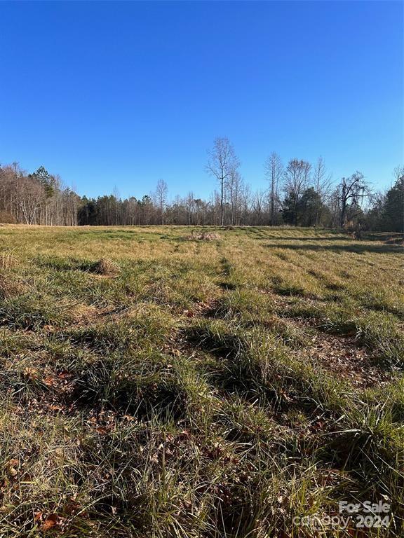 0 California Road, Unit 19 York, SC 29745 - Photo 5 of 6 a view of lake and mountain
