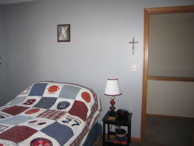 9140 Firestone Road Homerville, OH 44235 - Photo 18 of 25 Gallery Image 18