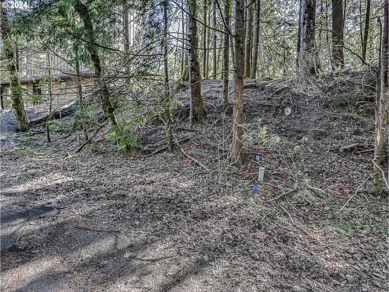 64680 East Sandy River Lane Rhododendron, OR 97049 - Photo 14 of 23 a view of a forest with trees in the background