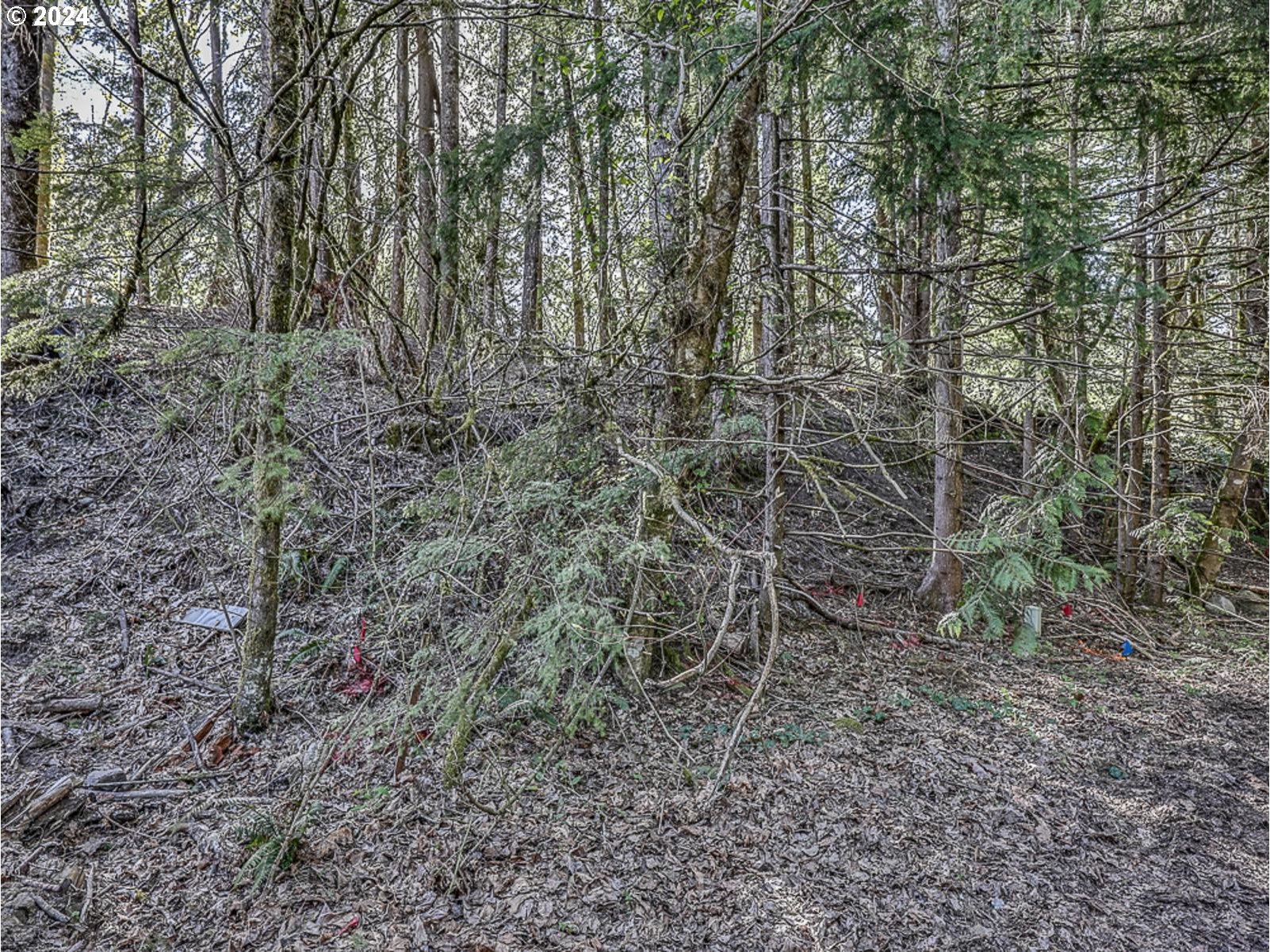 64680 East Sandy River Lane Rhododendron, OR 97049 - Photo 15 of 23 a view of a forest with trees in the background