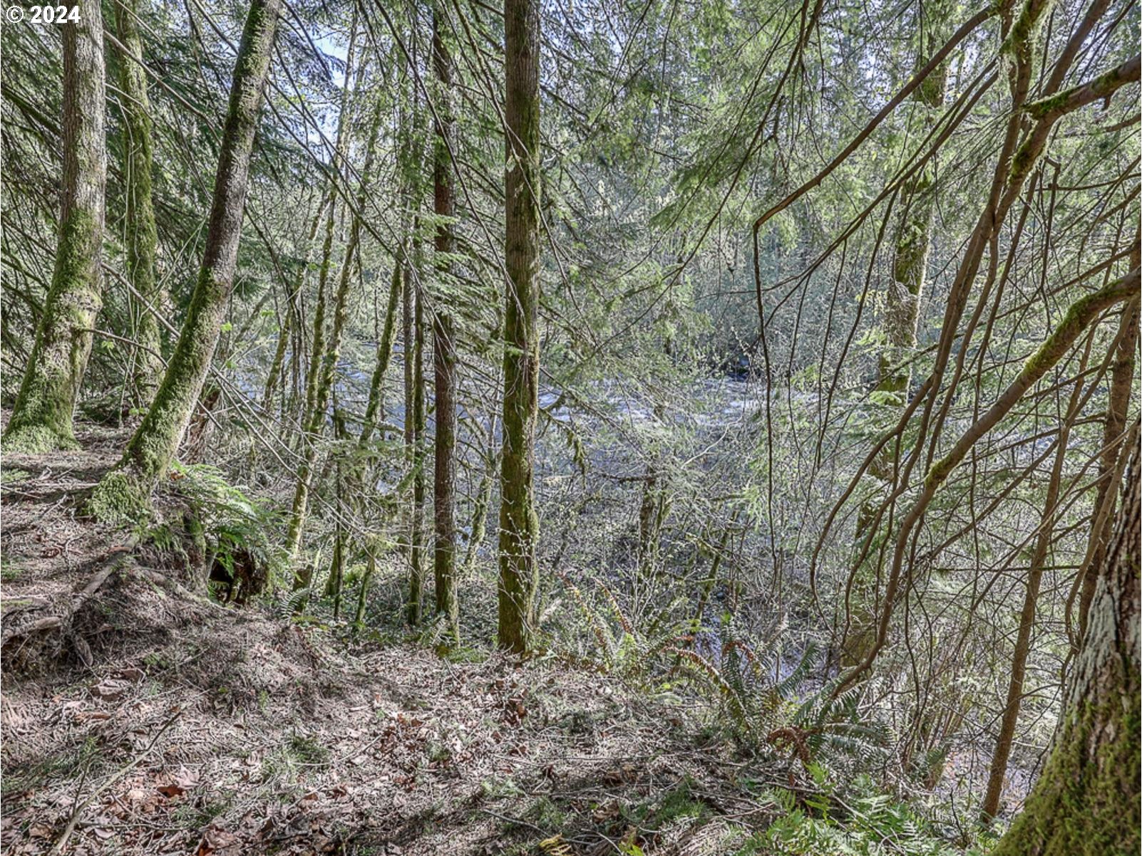 64680 East Sandy River Lane Rhododendron, OR 97049 - Photo 17 of 23 a view of forest