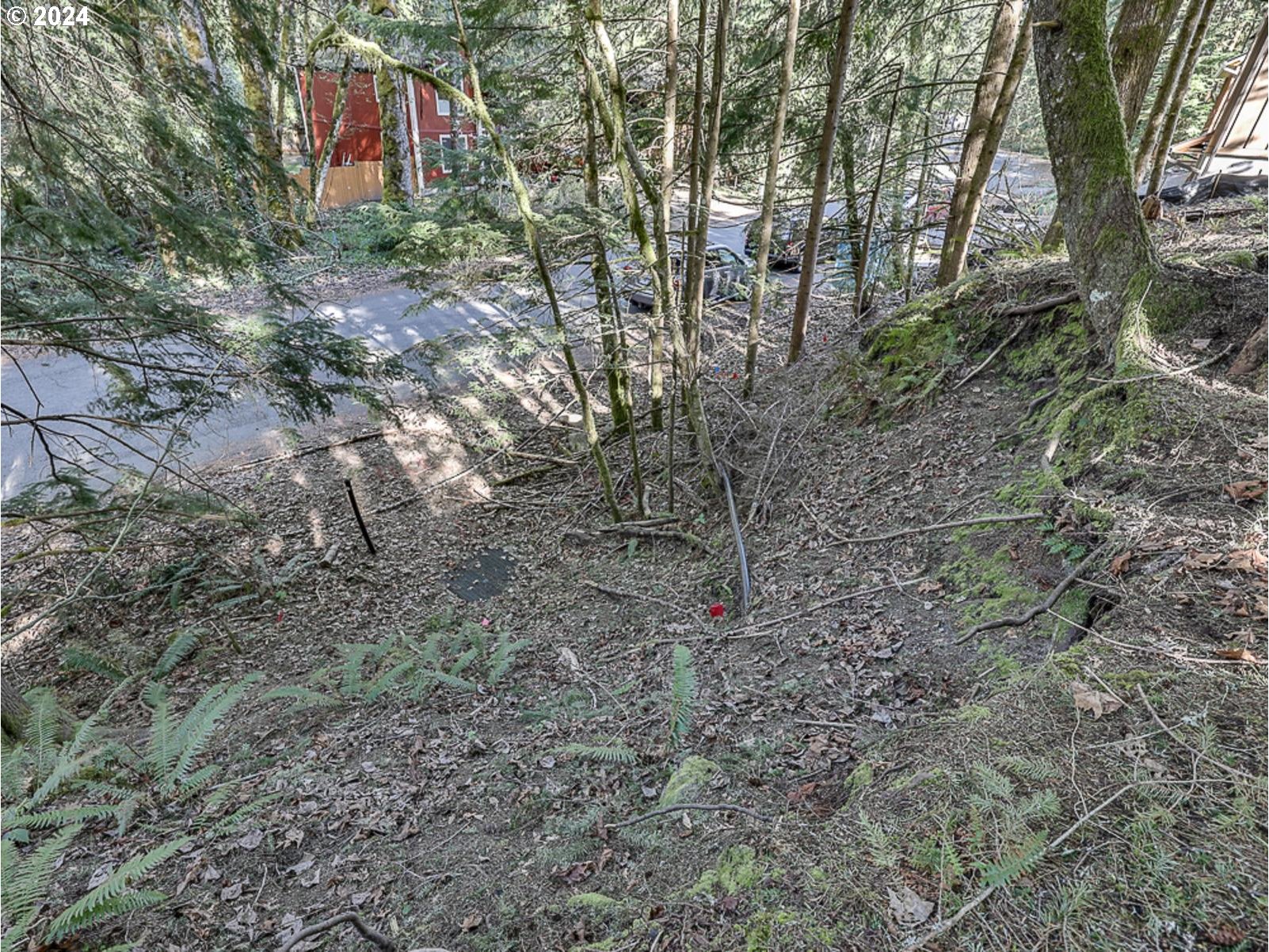 64680 East Sandy River Lane Rhododendron, OR 97049 - Photo 19 of 23 a backyard of a house with lots of green space