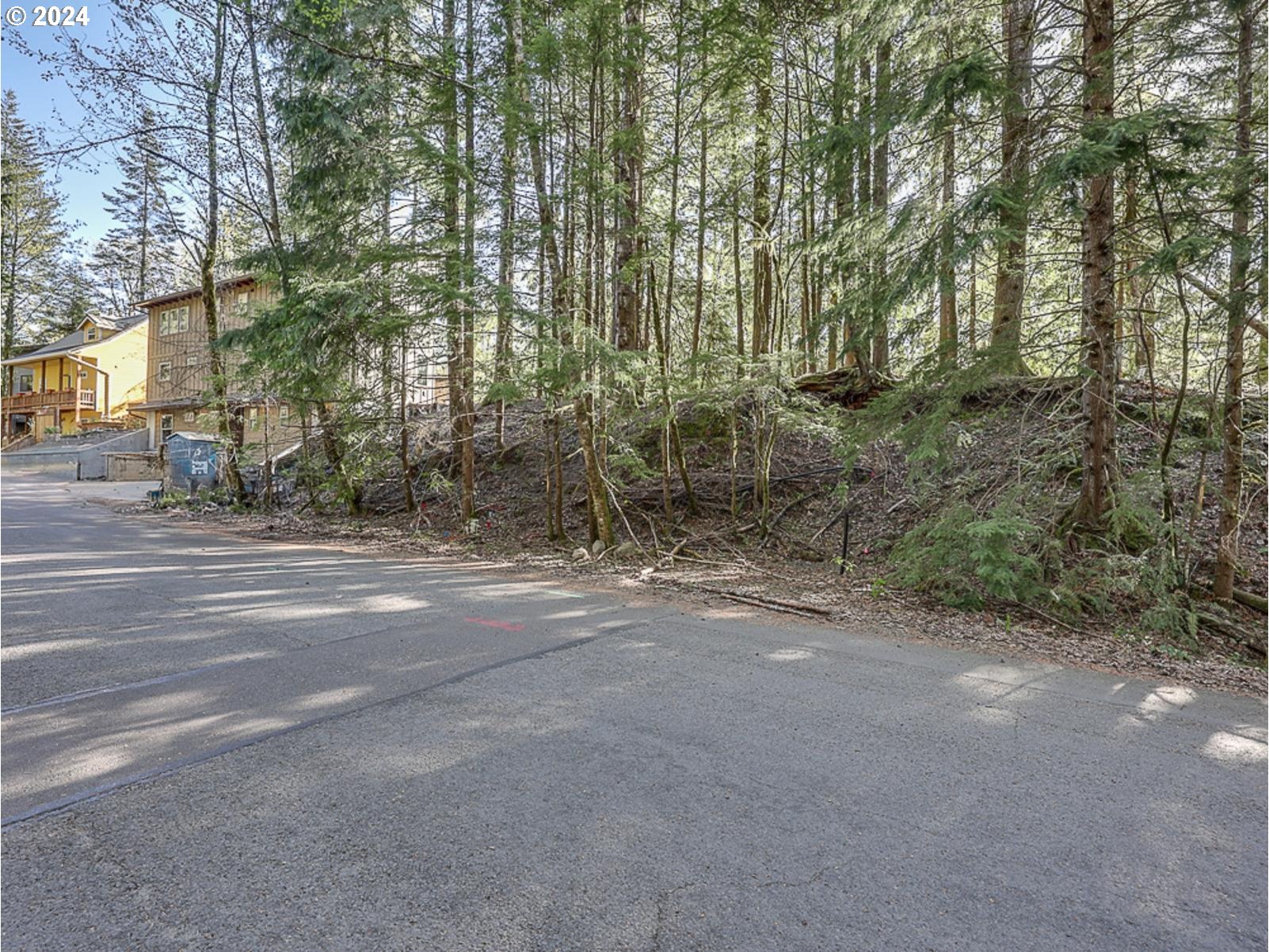 64680 East Sandy River Lane Rhododendron, OR 97049 - Photo 2 of 23 a view of a forest with trees