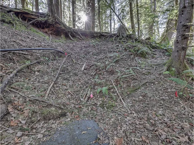 view of a black and white photo