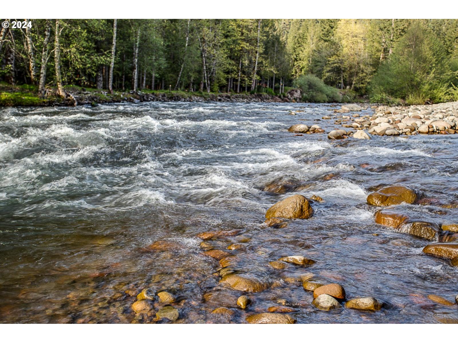 64680 East Sandy River Lane Rhododendron, OR 97049 - Photo 6 of 23 a view of outdoor space with swimming pool