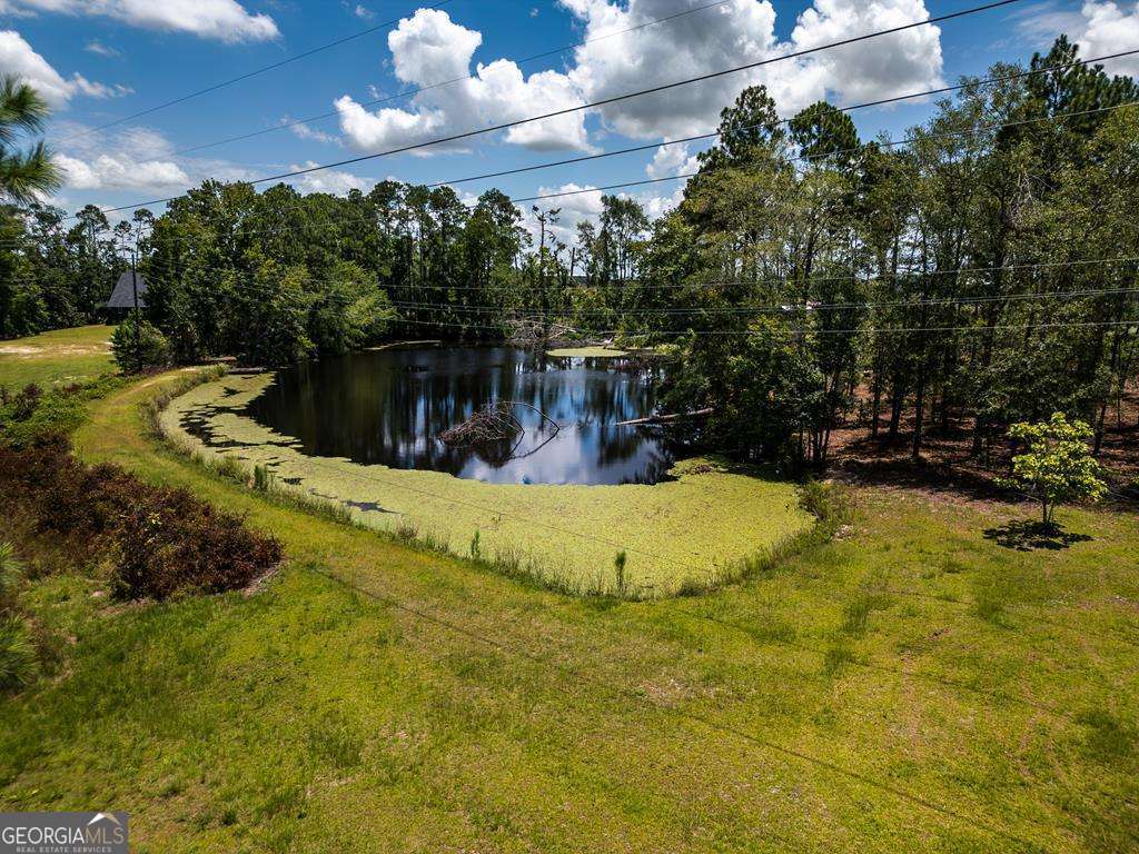 100 Fowler Street Vidalia, GA 30474 - Photo 22 of 60