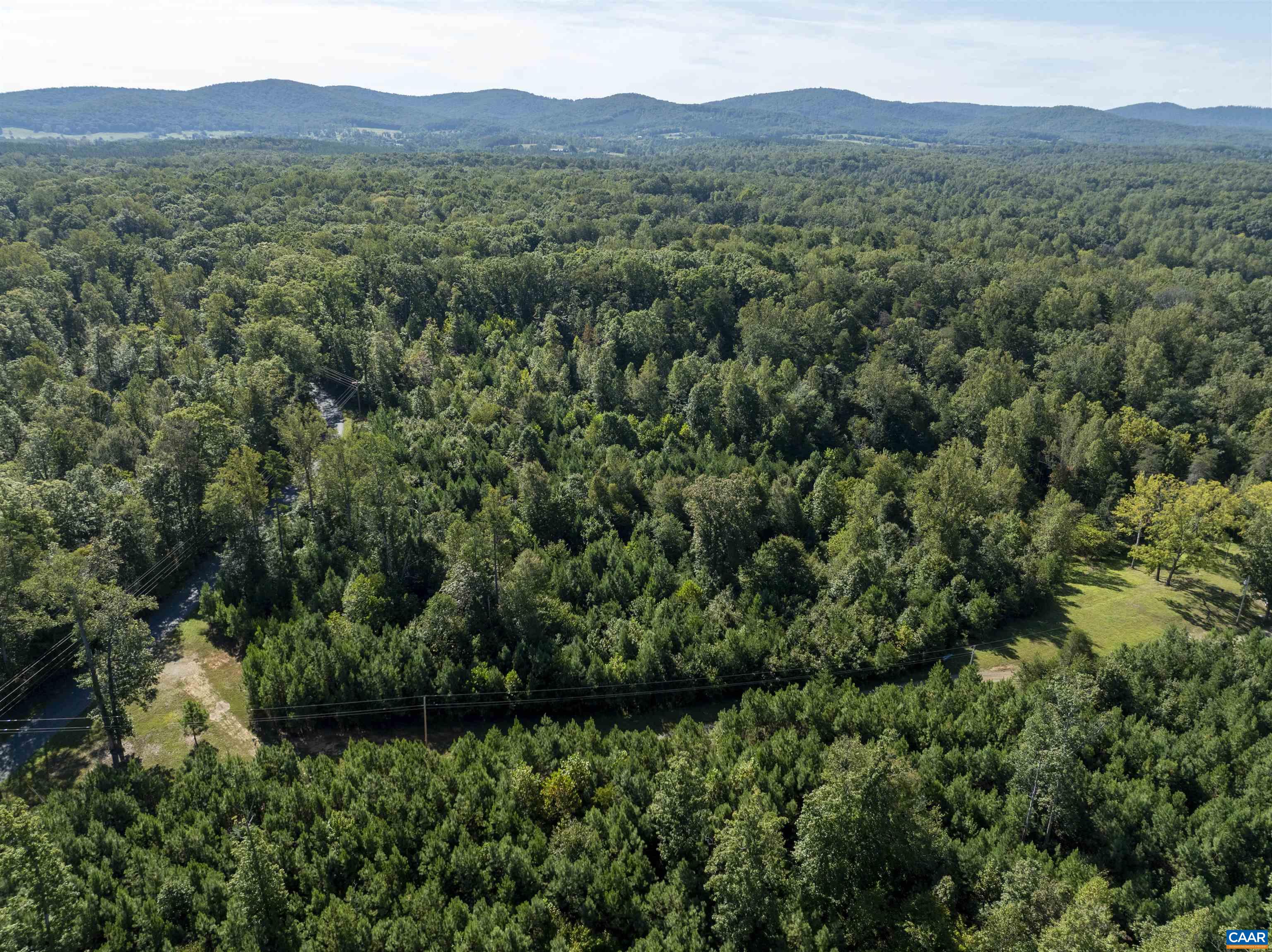 3860-2 Gilbert Station Road Barboursville, VA 22923 - Photo 12 of 15 a view of a lush green forest with a house