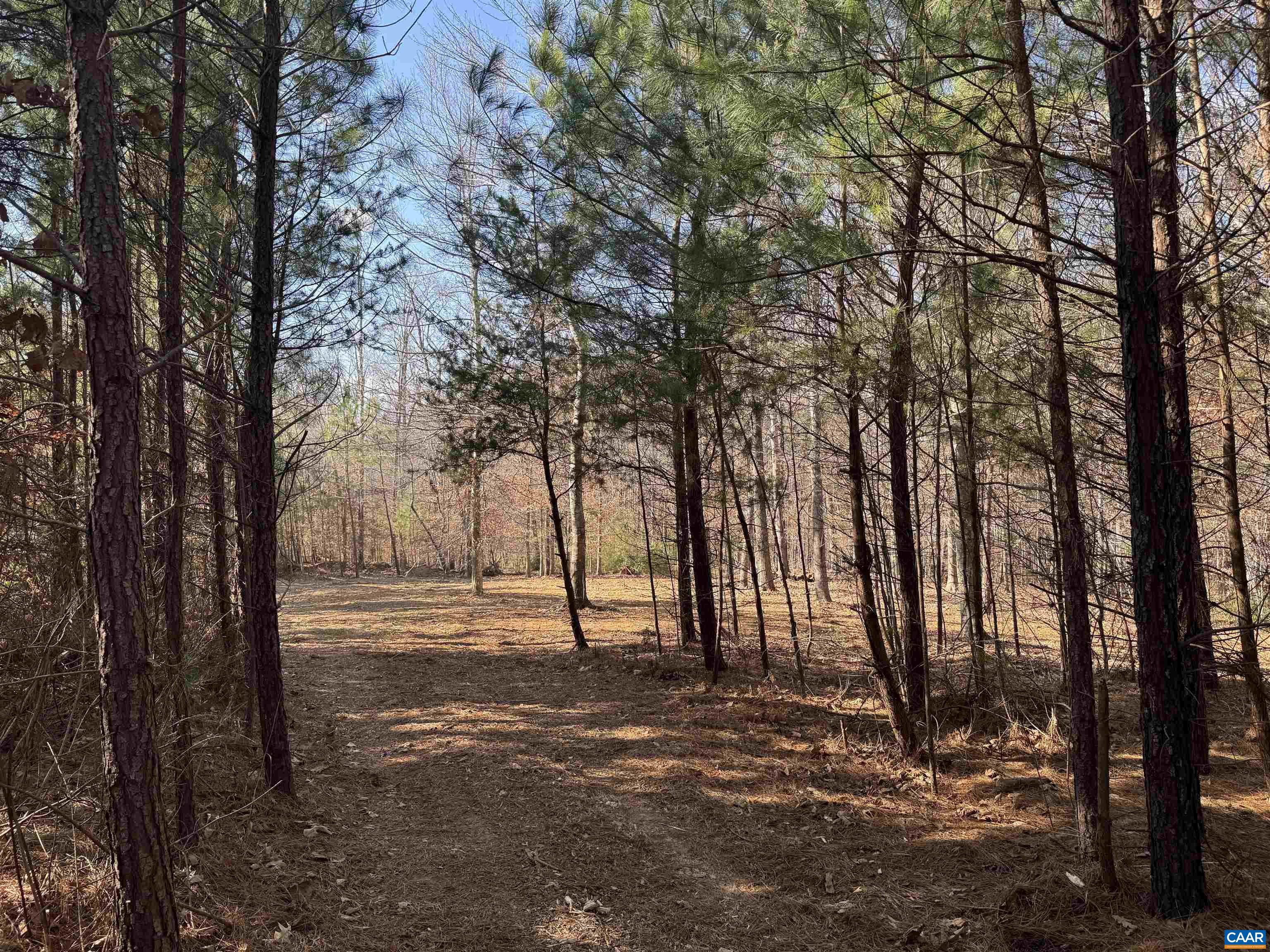 3860-2 Gilbert Station Road Barboursville, VA 22923 - Photo 6 of 15 a view of outdoor space with lots of trees