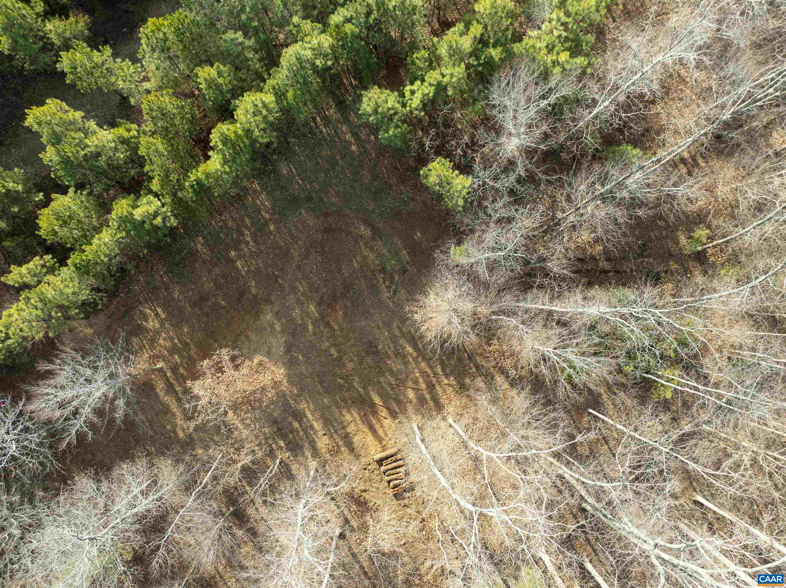 3860-2 Gilbert Station Road Barboursville, VA 22923 - Photo 10 of 15 a picture of tree