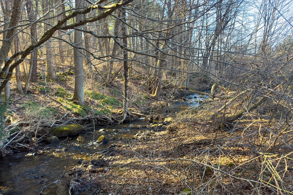 0 Gilbertville Road Ware, MA 01082 - Photo 16 of 17 a backyard of a house