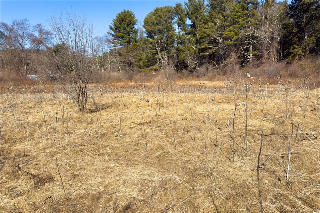 0 Gilbertville Road Ware, MA 01082 - Photo 17 of 17 a view of a yard with trees