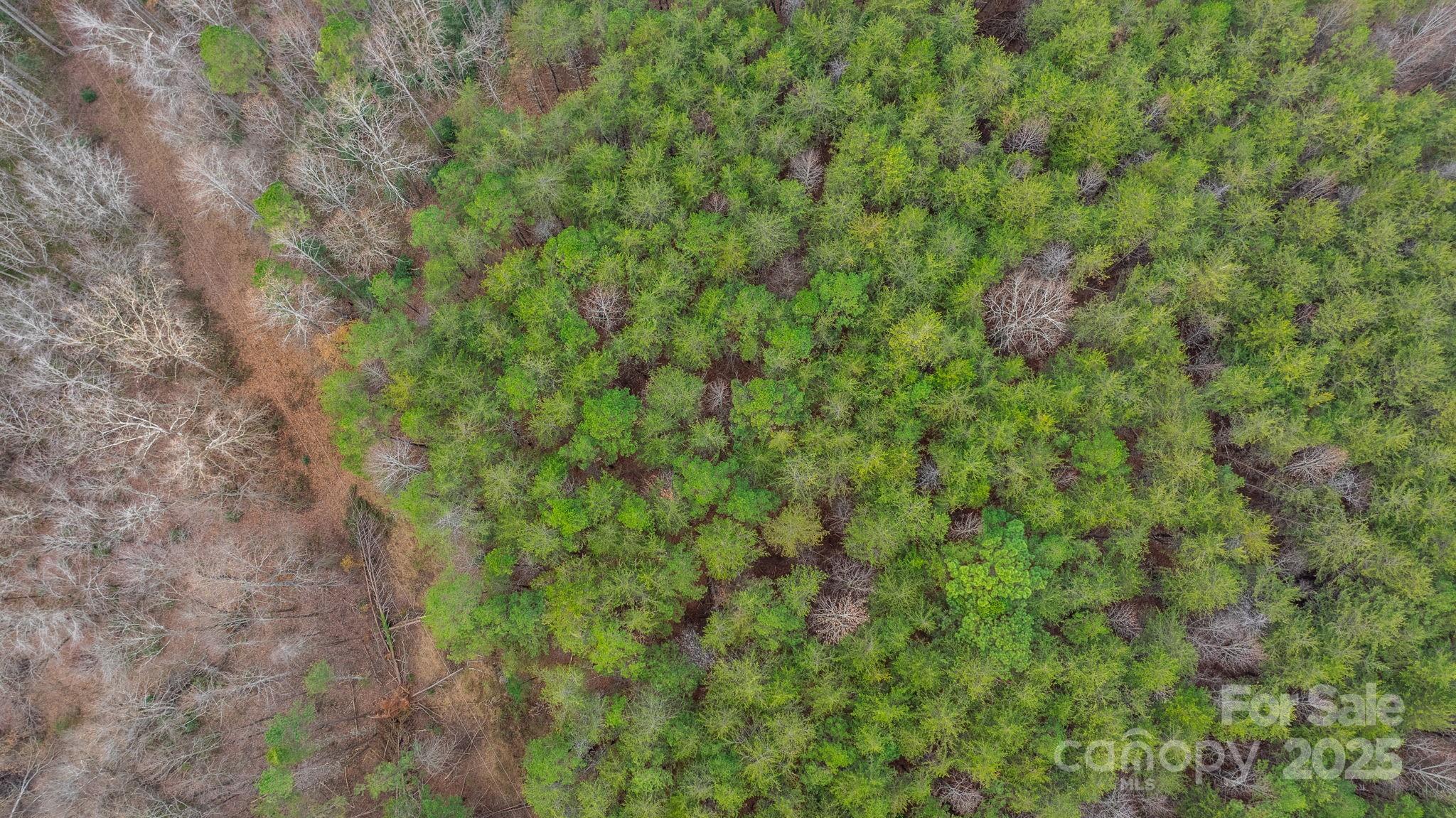 0 Shell Hollar Road Claremont, NC 28610 - Photo 23 of 42 Gallery Image 23
