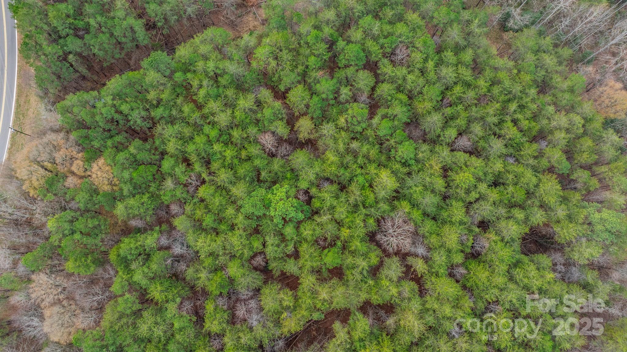 0 Shell Hollar Road Claremont, NC 28610 - Photo 25 of 42 Gallery Image 25