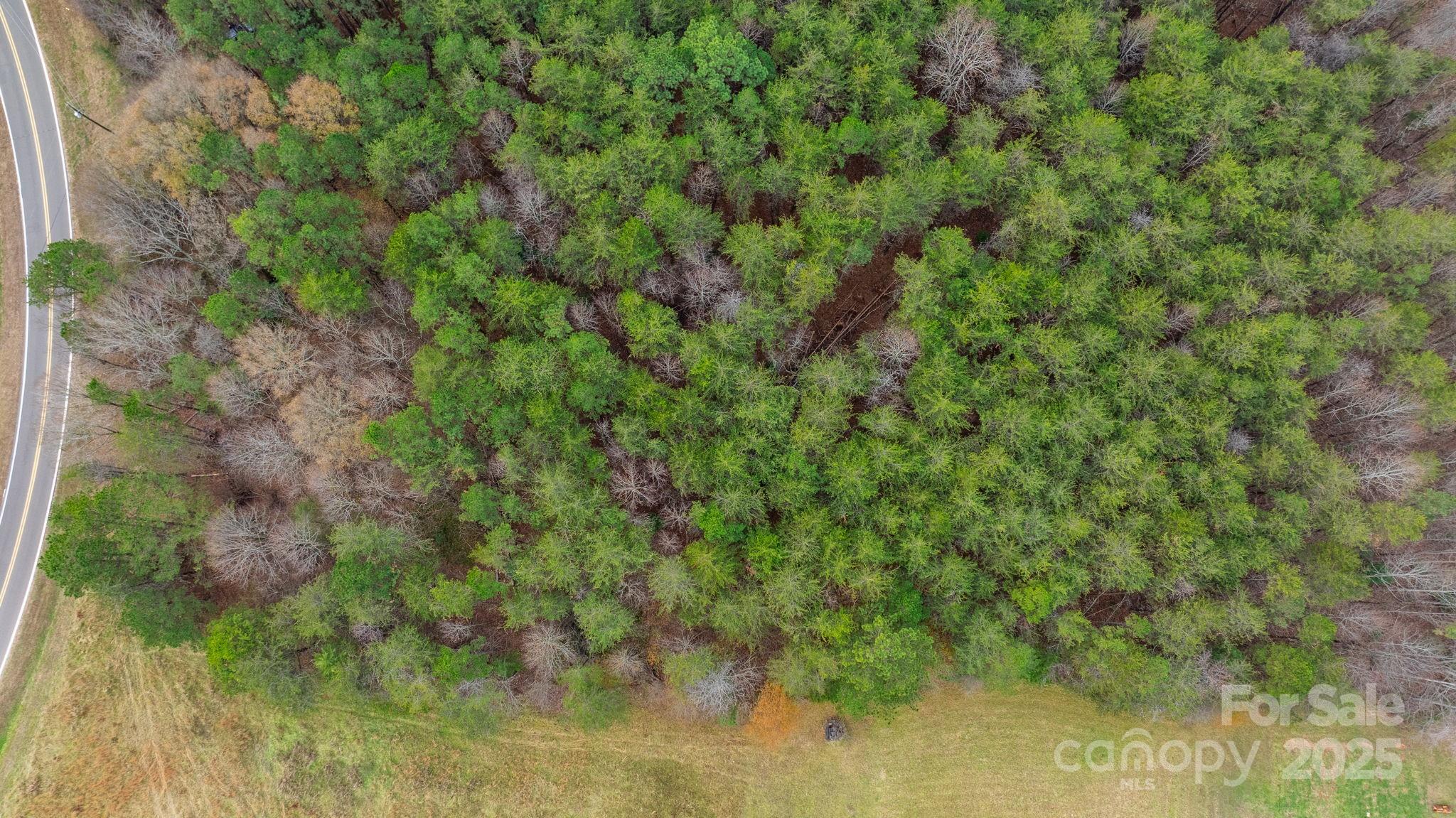 0 Shell Hollar Road Claremont, NC 28610 - Photo 26 of 42 Gallery Image 26