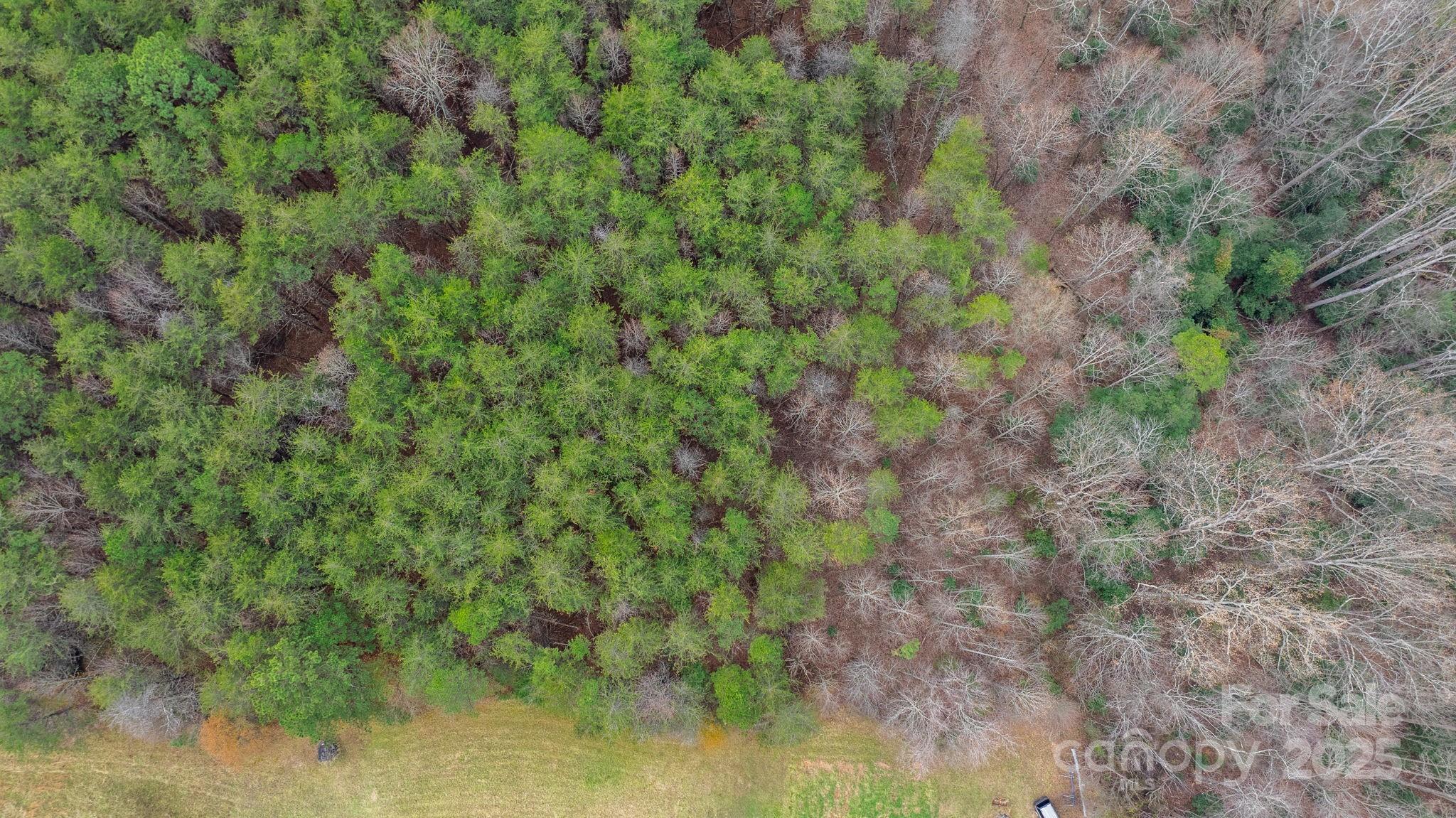 0 Shell Hollar Road Claremont, NC 28610 - Photo 27 of 42 Gallery Image 27