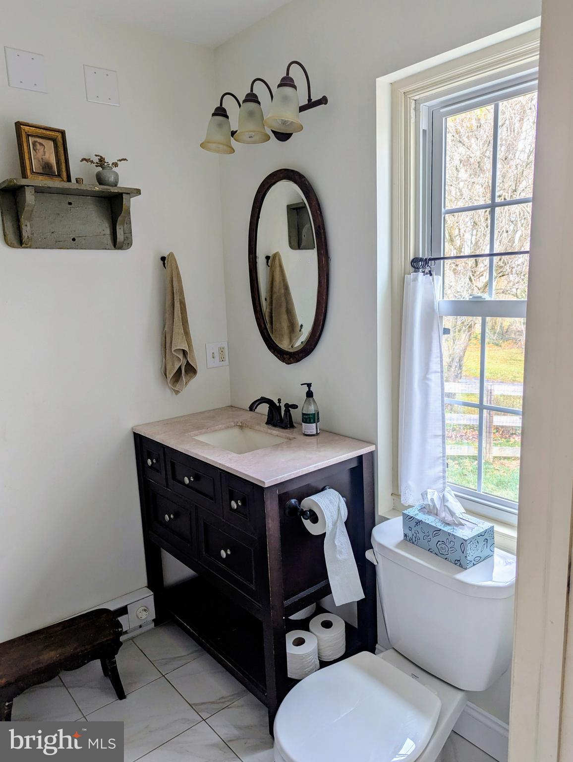 3 Locust Lane Womelsdorf, PA 19567 - Photo 17 of 37 a bathroom with a sink a mirror and a toilet