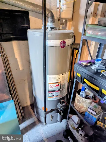 a tall tree in middle of the garden