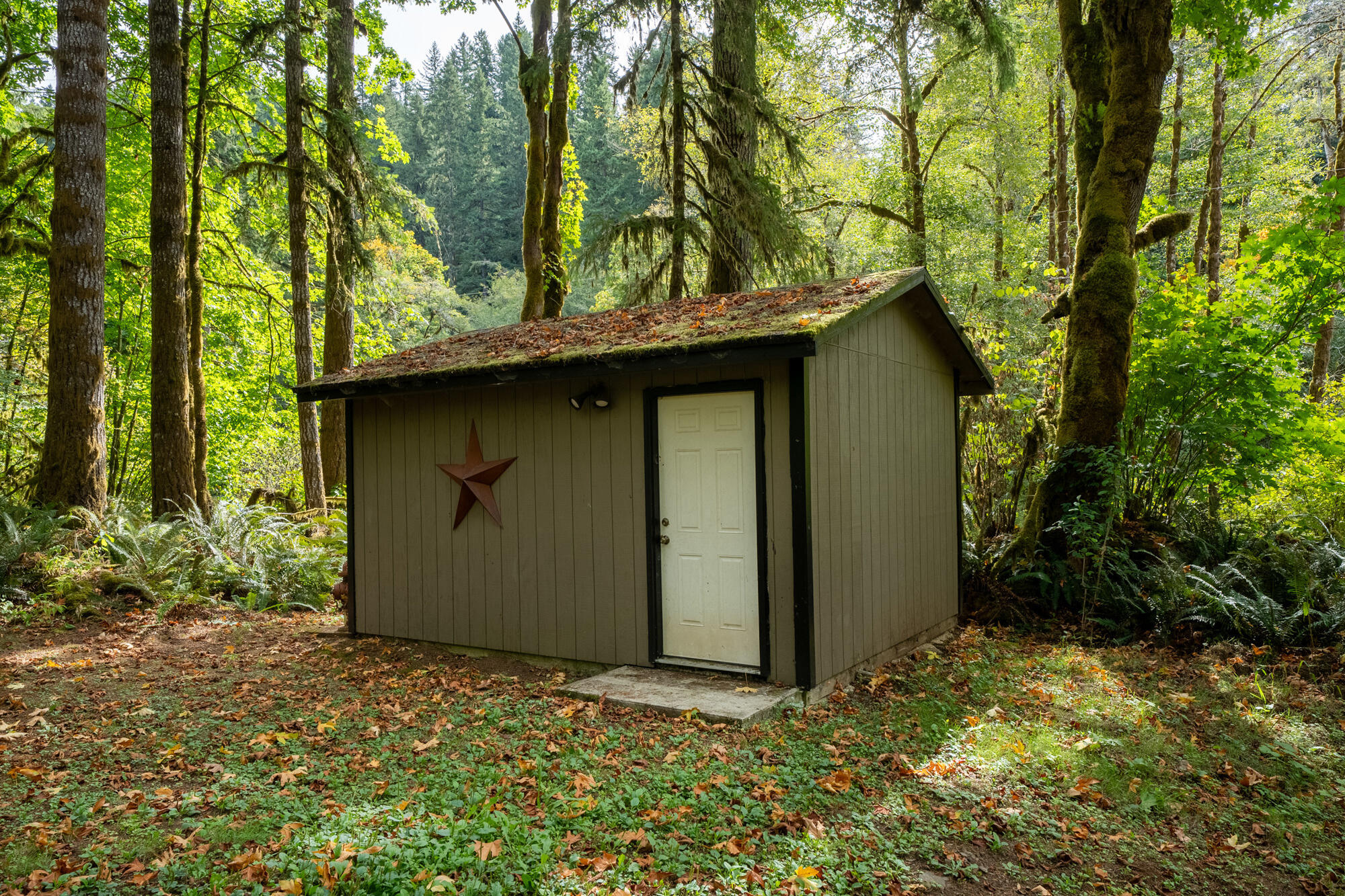 42520 Testament Creek Road Beaver, OR 97108 - Photo 55 of 62 72_dsc07951-hdr