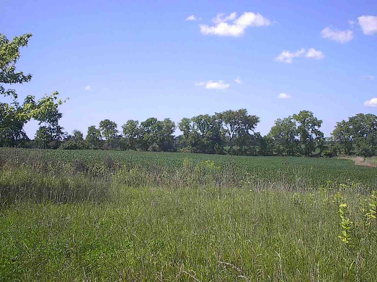 5018-c R 55 C R 55 Auburn, IN 46706 - Photo 9 of 30