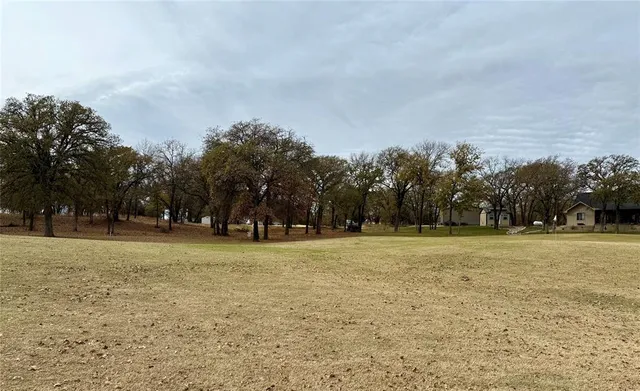a view of open space with trees