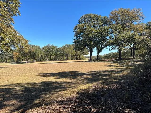 a view of open space with trees