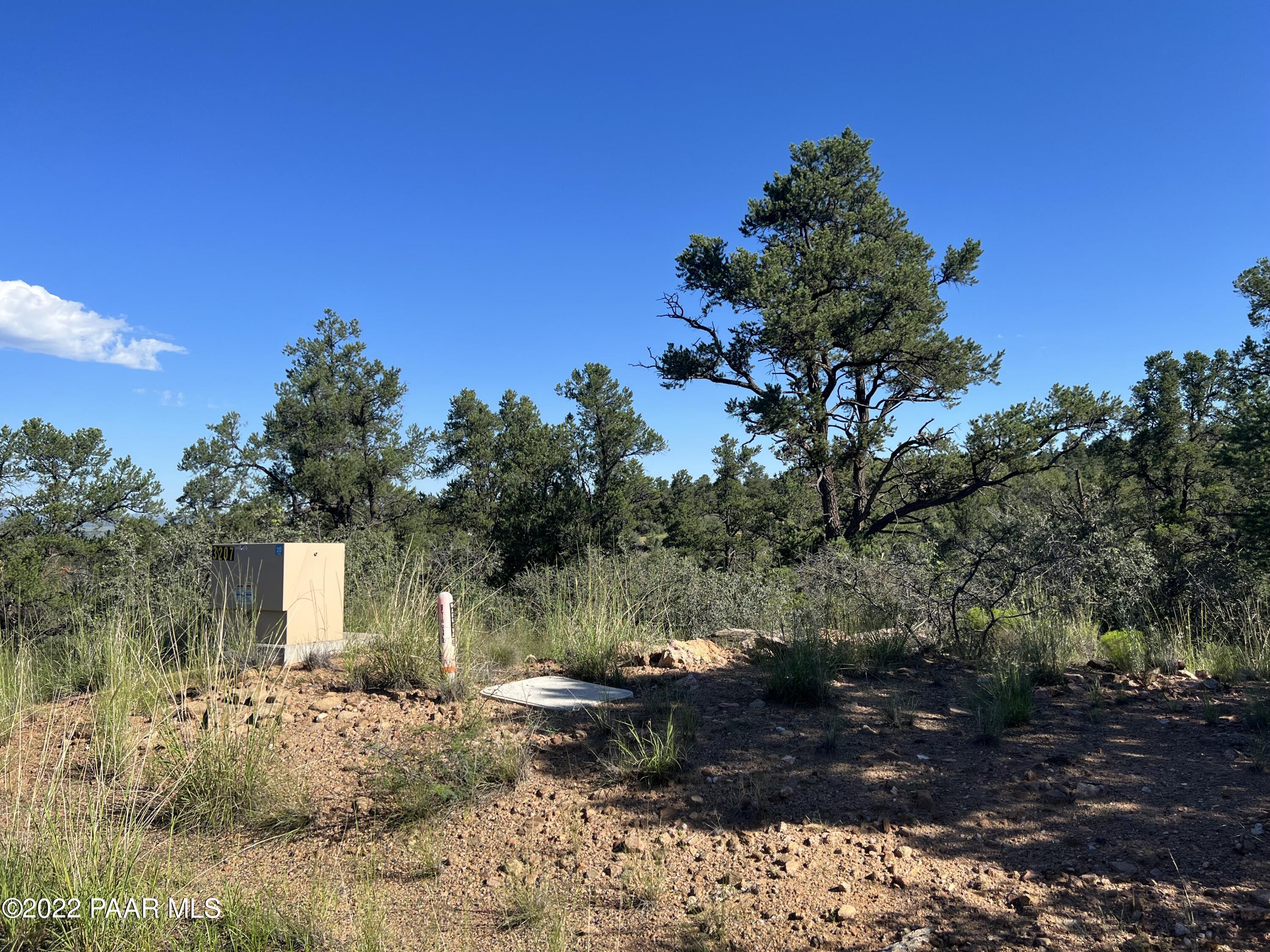 16301 Petroglyph Road Prescott, AZ 86305 - Photo 12 of 32 a view of a backyard with plants and a tree