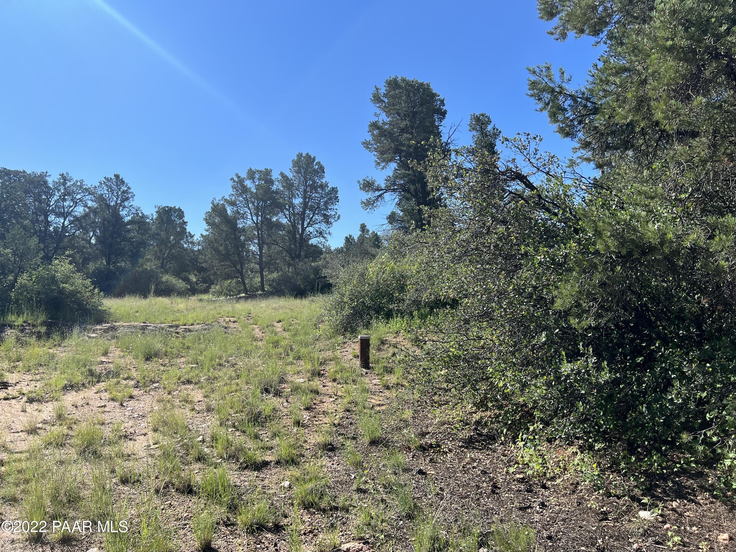 16301 Petroglyph Road Prescott, AZ 86305 - Photo 16 of 32 a big yard with lots of green space